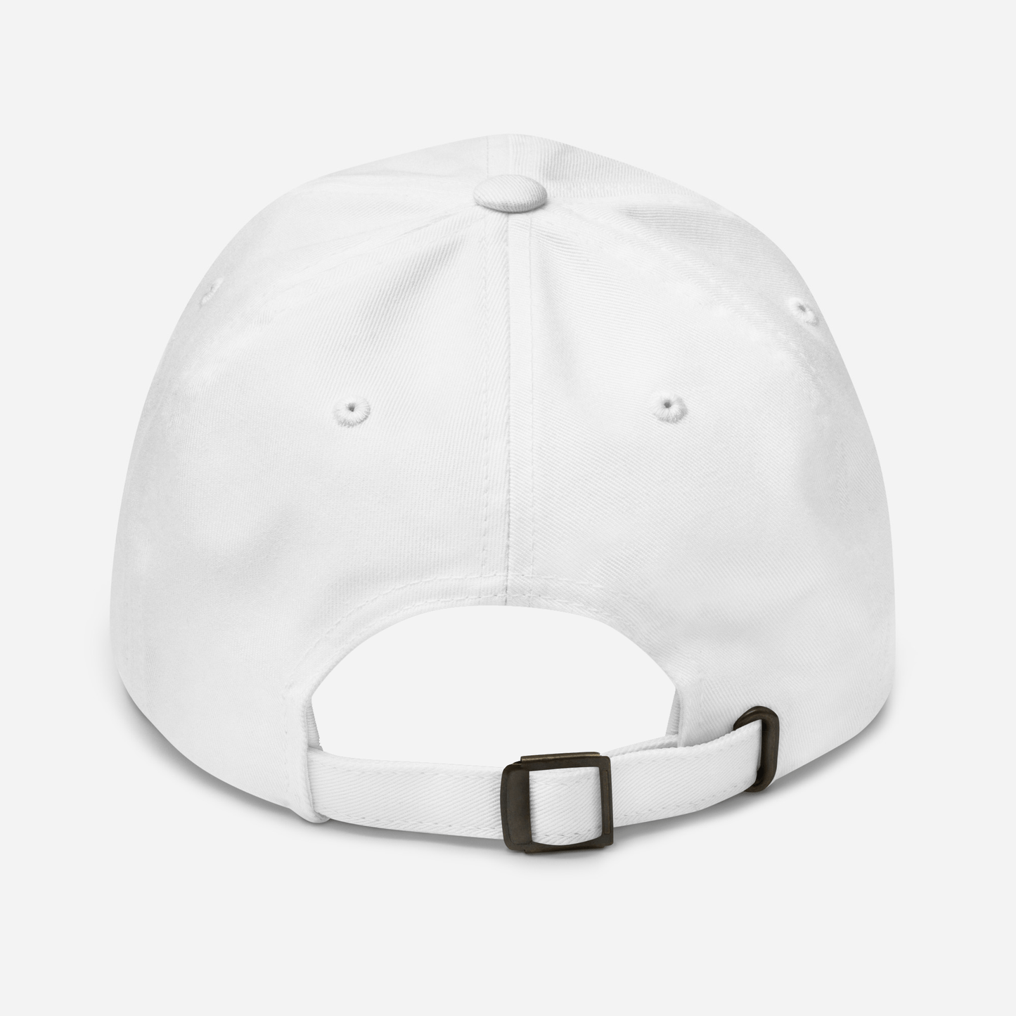 cgscosmeticschickn - embroidered hat